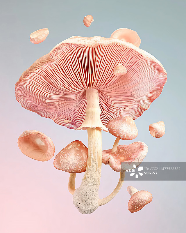 【AI数字艺术】白色背景下蘑菇创意的特写镜头图片素材