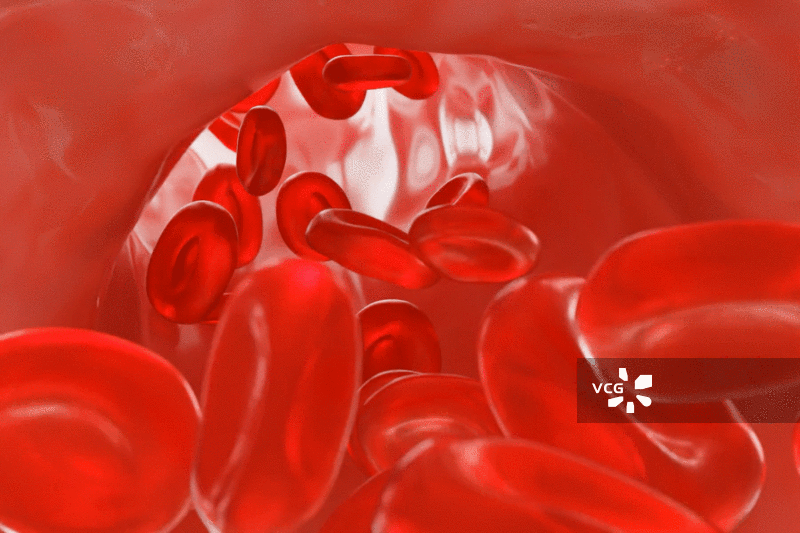 3D渲染的生物医疗人流动的血液血管红细胞动态图片图片素材