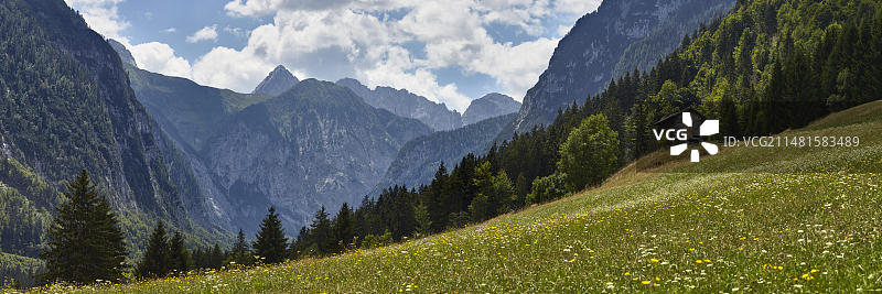 牧场附近的诺斯特拉，阿尔卑斯山脉，Lesachtal，克恩顿州，奥地利，欧洲图片素材