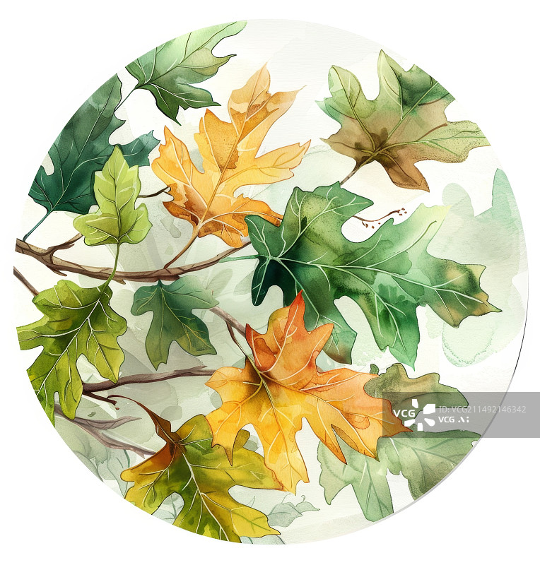 【AI数字艺术】圆形框内树叶水彩插画图片素材