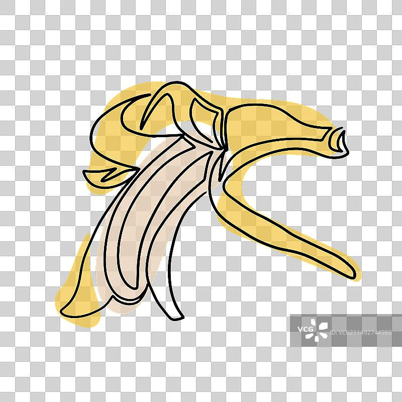 波西米亚风格的香蕉复古单线画图片素材