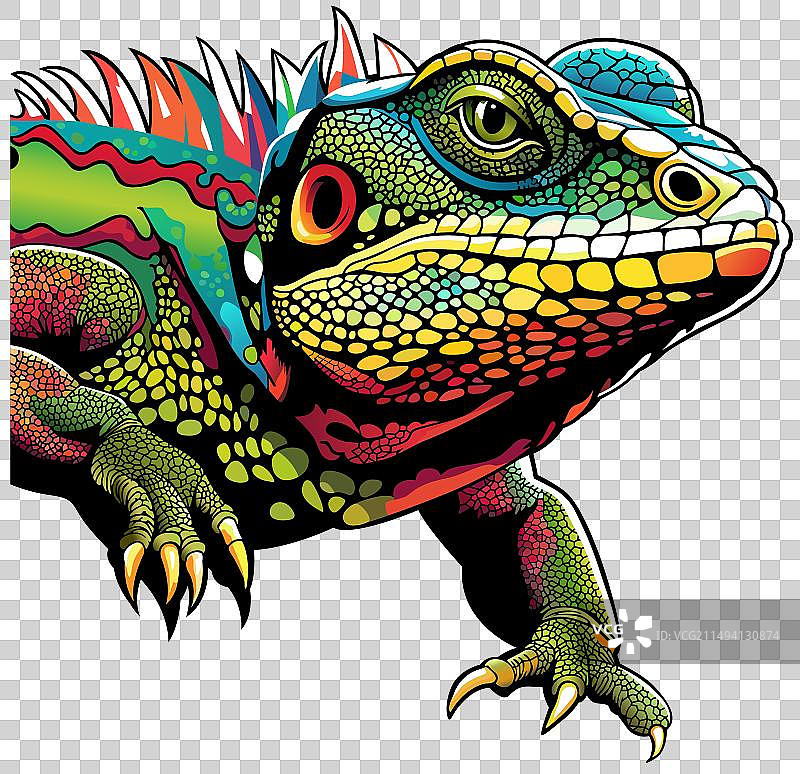 蜥蜴的彩色肖像图片素材