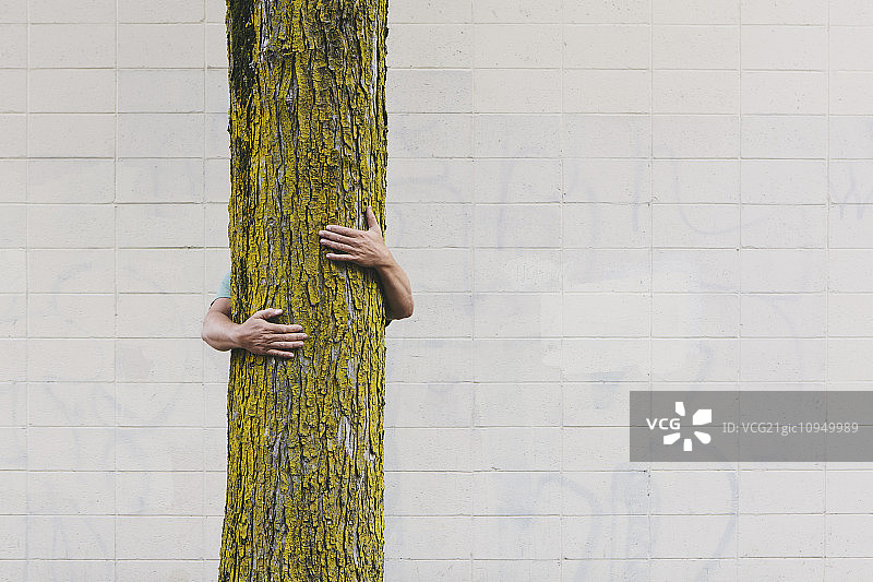 在西雅图的城市街道上，一名男子拥抱着一棵树。图片素材