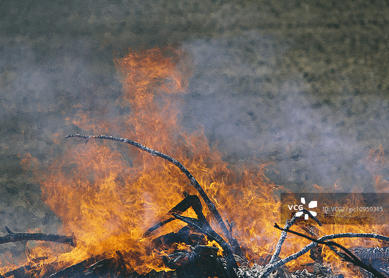 在美国华盛顿普尔曼附近的田野里，火焰和烟雾从一堆燃烧着的木头中升起图片素材