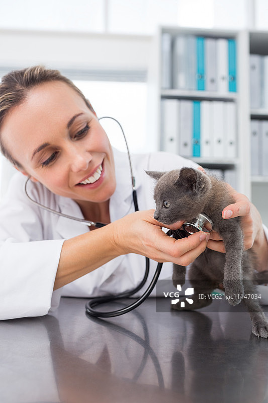 女兽医在诊所用听诊器检查小猫图片素材