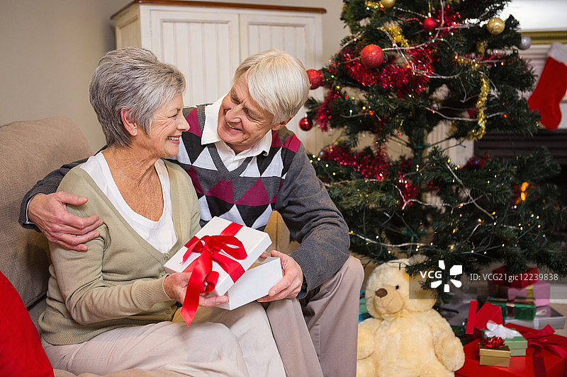 老夫妇坐在客厅的圣诞树旁图片素材