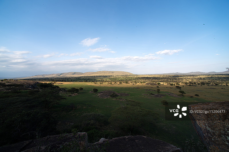 坦桑尼亚的塞伦盖蒂国家公园图片素材