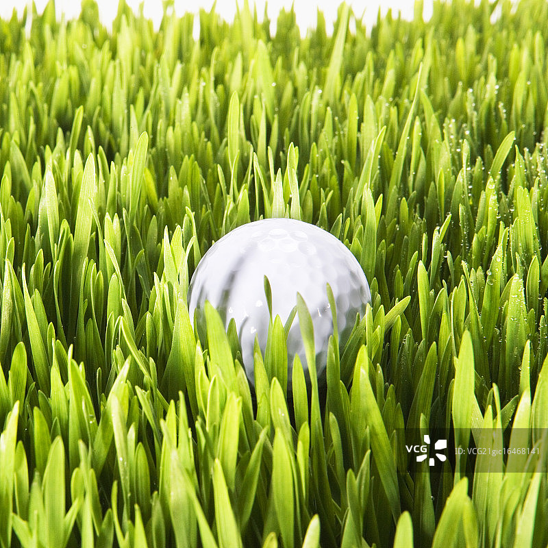 草地高尔夫球图片素材