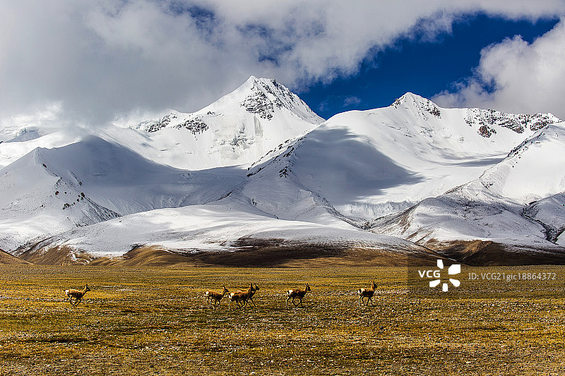 西藏阿里风光图片素材