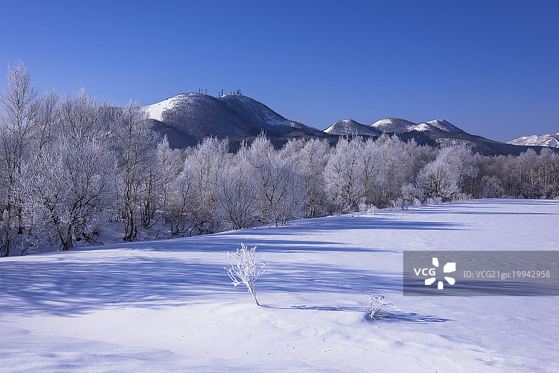 雾凇，仲冬清晨的赤菅国家公园，日本北海道铁贺镇赤菅国家公园图片素材