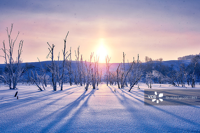 冬天雪原的日出图片素材