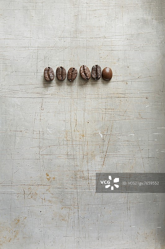 一棵老烘焙树上的六颗咖啡豆图片素材