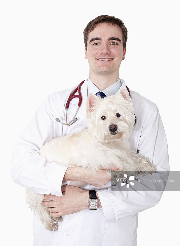一个兽医抱着一只狗的肖像，照相馆拍摄图片素材
