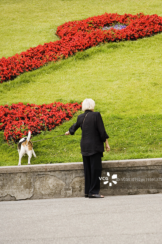 一个女人和她的狗在一个花园的后视图，斯卡利纳塔德拉卡拉维尔，热那亚，利古里亚，意大利图片素材