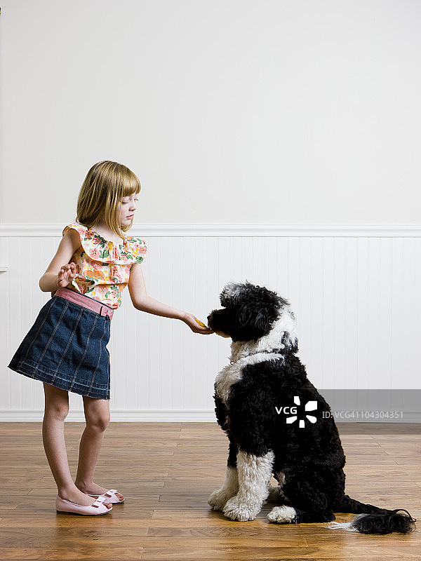 女孩和她的狗图片素材