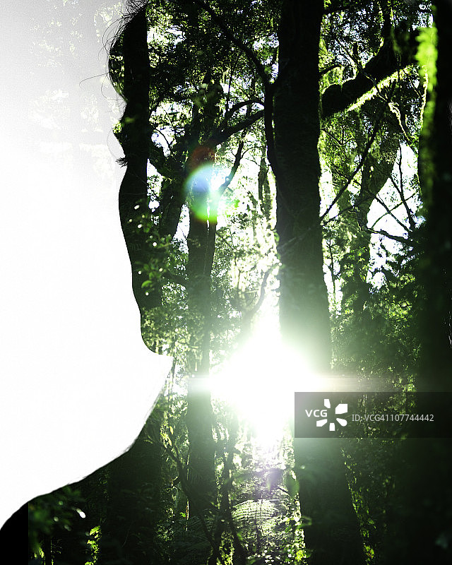 在阳光照耀下的森林里，透明的女性剪影图片素材