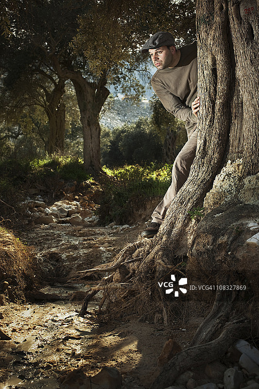童话般的橄榄森林里的卡斯克特人图片素材
