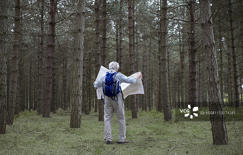 男性徒步旅行者在森林里看地图。图片素材