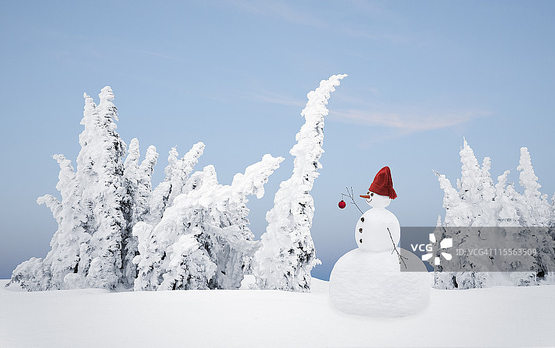 雪林中点缀的雪人图片素材