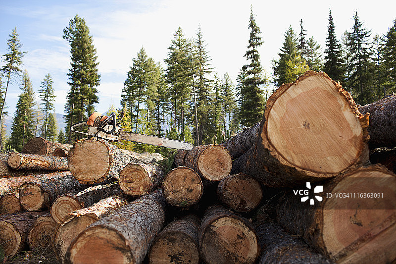 美国蒙大拿州，一堆原木上的电锯图片素材