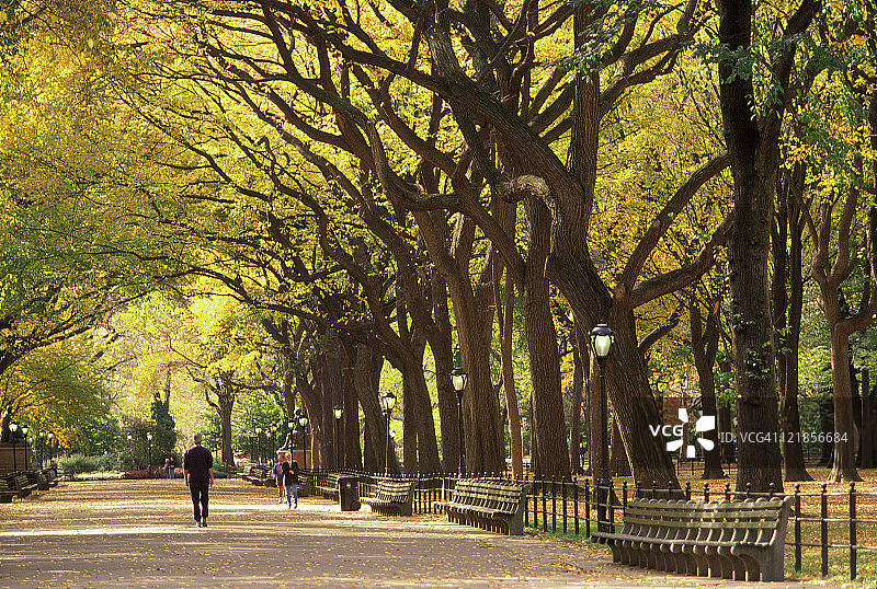 秋天，人们穿过纽约中央公园图片素材