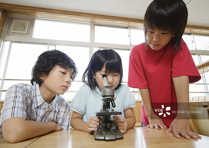 小学生通过显微镜观察图片素材