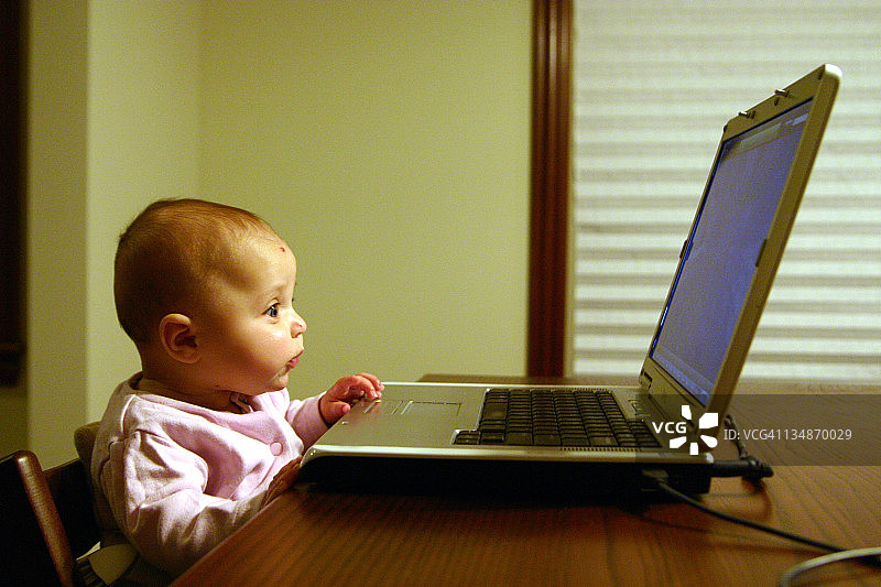 宝宝看着笔记本电脑图片素材