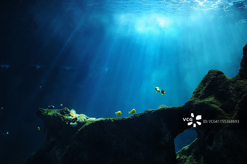 水下世界- XLarge图片素材