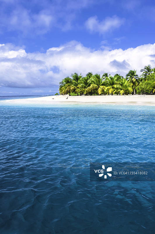 热带岛屿绿松石海滩椰子树图片素材