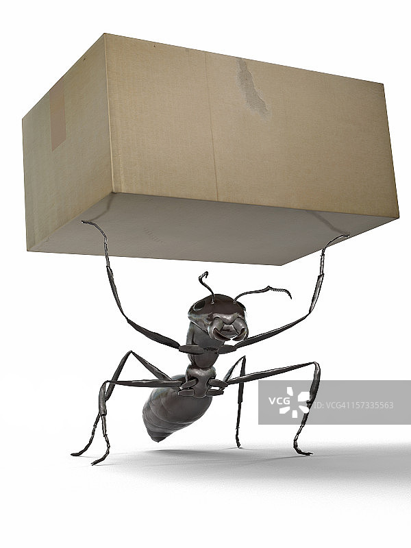 蚂蚁搬箱子图片素材