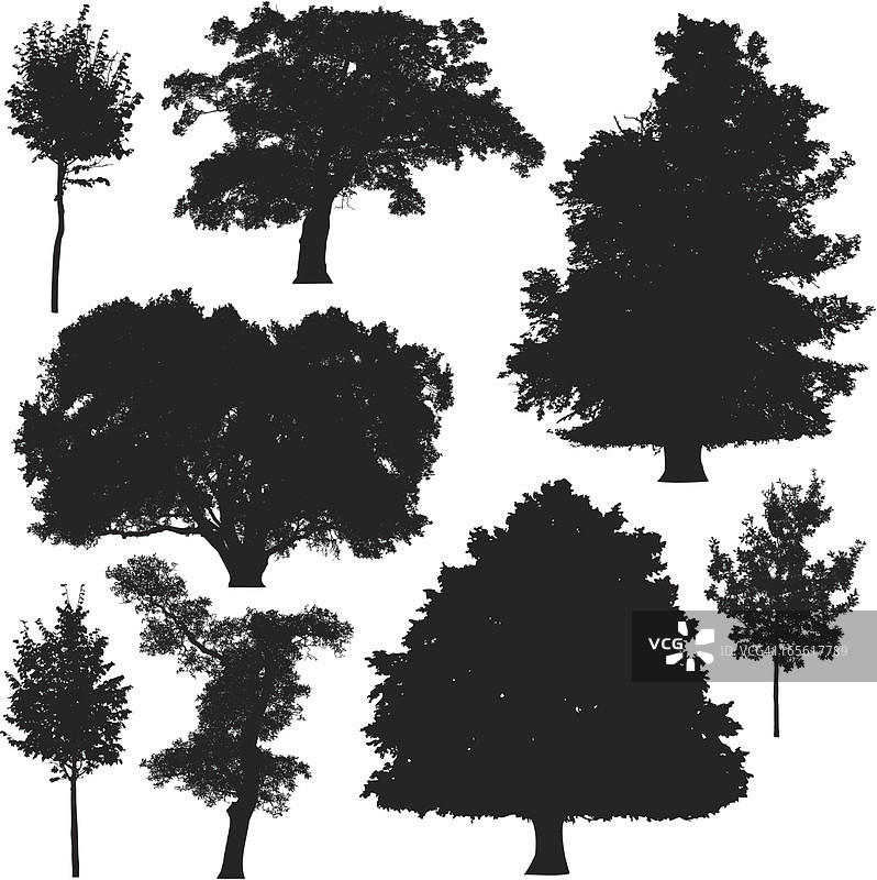 树木剪影系列5图片素材