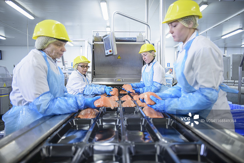 在食品厂包装鲑鱼的工人图片素材