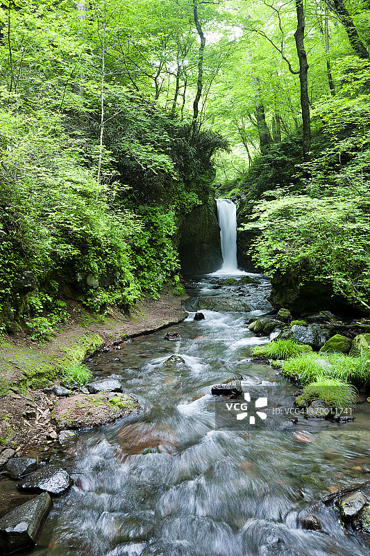 日本的瀑布图片素材