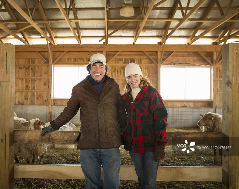 纽约州冷春冬日的有机农场。一个农夫和一个女人站在满是羊的羊圈旁。图片素材
