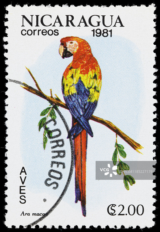 尼加拉瓜猩红金刚鹦鹉邮票图片素材