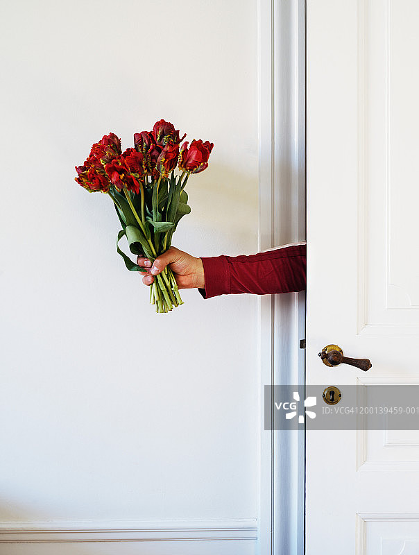 一个男人从门后拿着一束红玫瑰图片素材