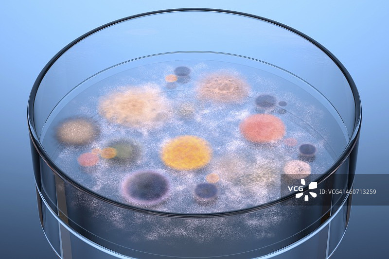 细菌在培养皿中生长，艺术品图片素材
