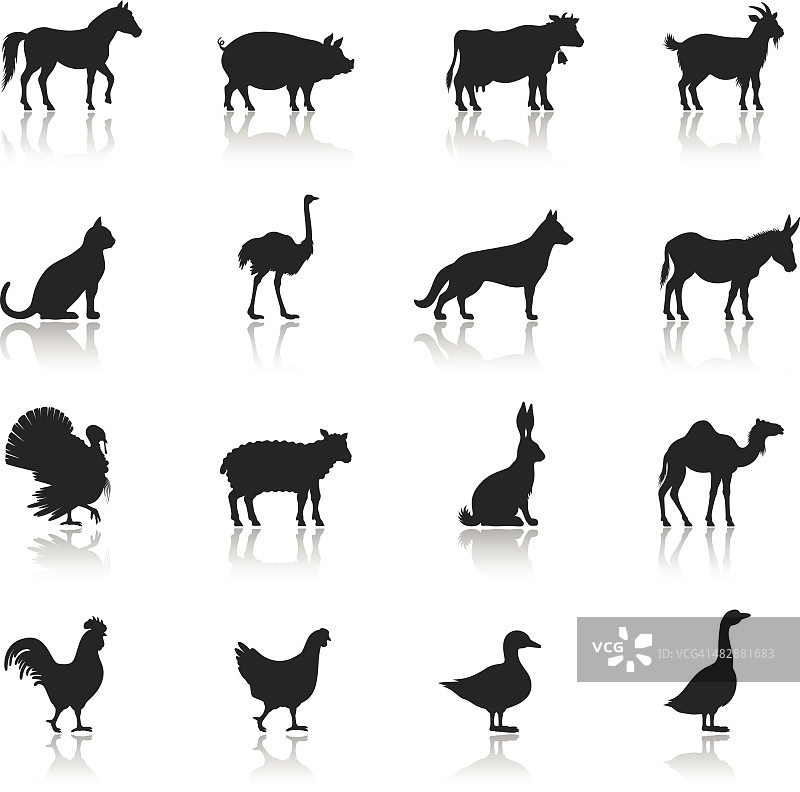图标设置的农场动物在白色的背景图片素材