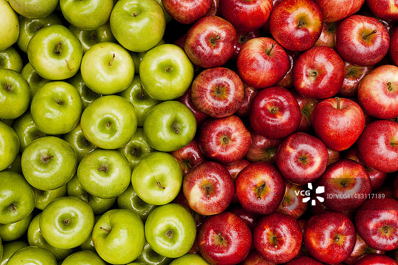 绿苹果和红苹果图片素材