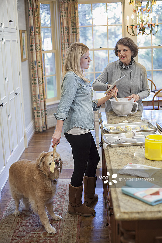 年轻的女人和祖母一起给狗做惠斯特烘焙图片素材