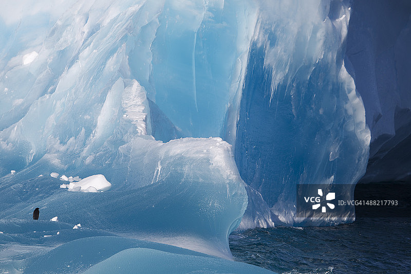 阿德利企鹅在蓝色冰山上。图片素材