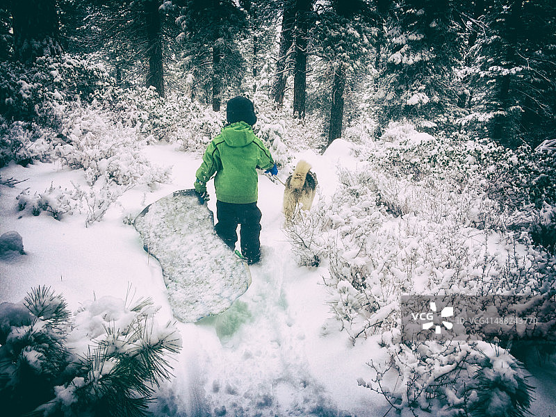 一个男孩在白雪覆盖的森林里遛狗图片素材