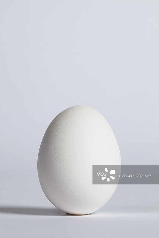 一个蛋的静物图片素材
