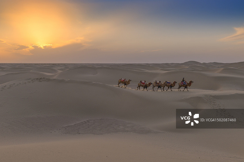 沙漠骆驼商队之旅图片素材
