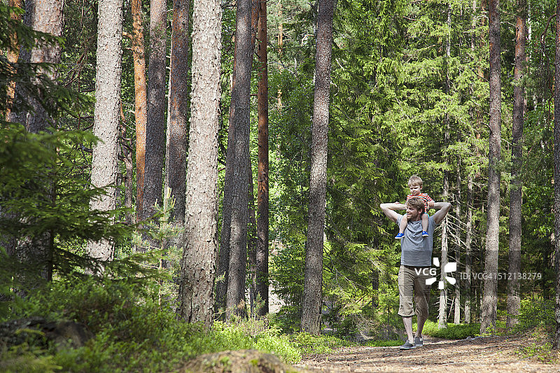 芬兰萨默涅米，父亲扛着蹒跚学步的儿子穿过森林图片素材