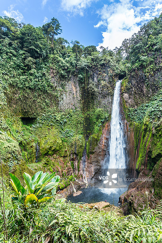 哥斯达黎加绿色热带森林中的托罗瀑布图片素材