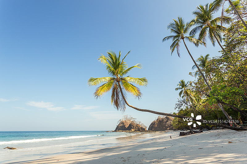 异国情调的热带海滩，棕榈树，Puntarenas，哥斯达黎加图片素材
