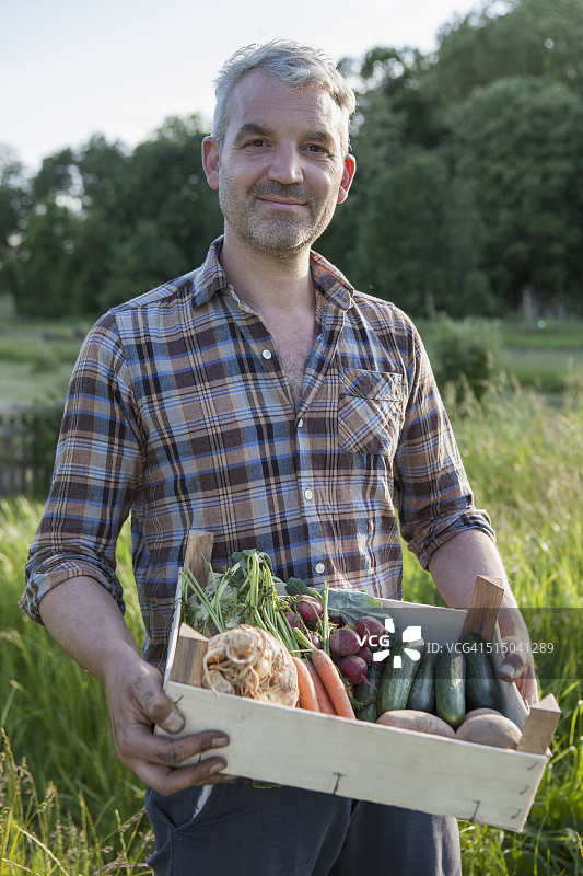 一幅自信成熟的男子在花园里扛着一板条箱刚收获的蔬菜的肖像图片素材