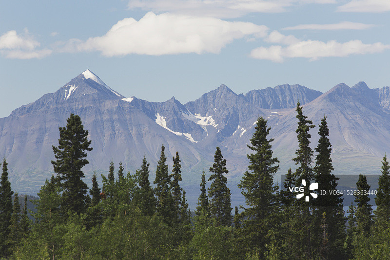 崎岖的山峰和树木的森林;海恩斯章克申，育空，加拿大图片素材