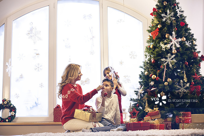 家庭装饰圣诞树图片素材